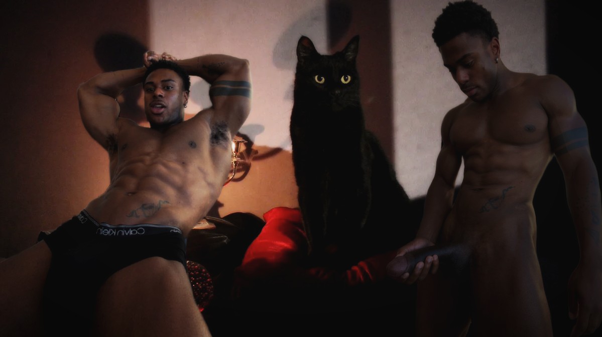 ✶ 𝐒𝐀𝐋𝐄𝐌 tweet media