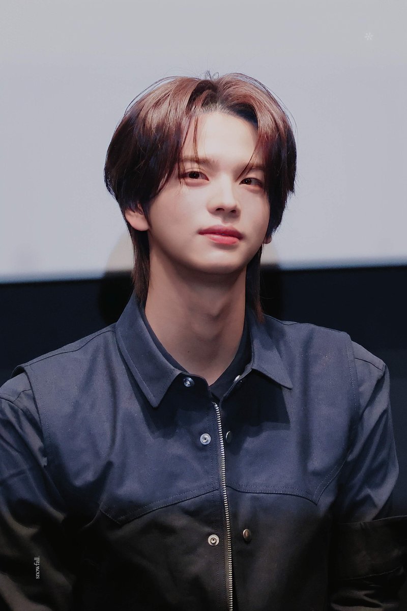 snowfall. tweet media