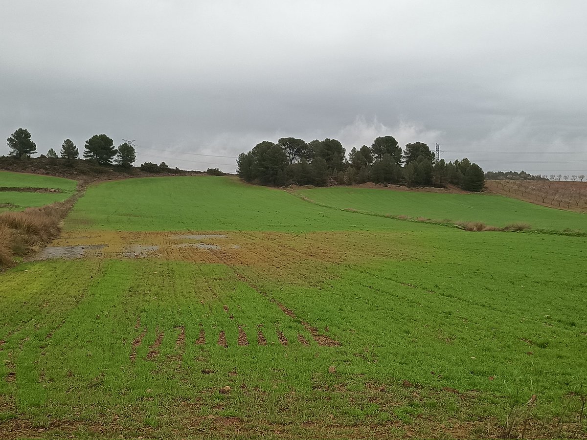 Fernando Cárcel 🚜 🍇 ⚡ ❄️ ☔ tweet media