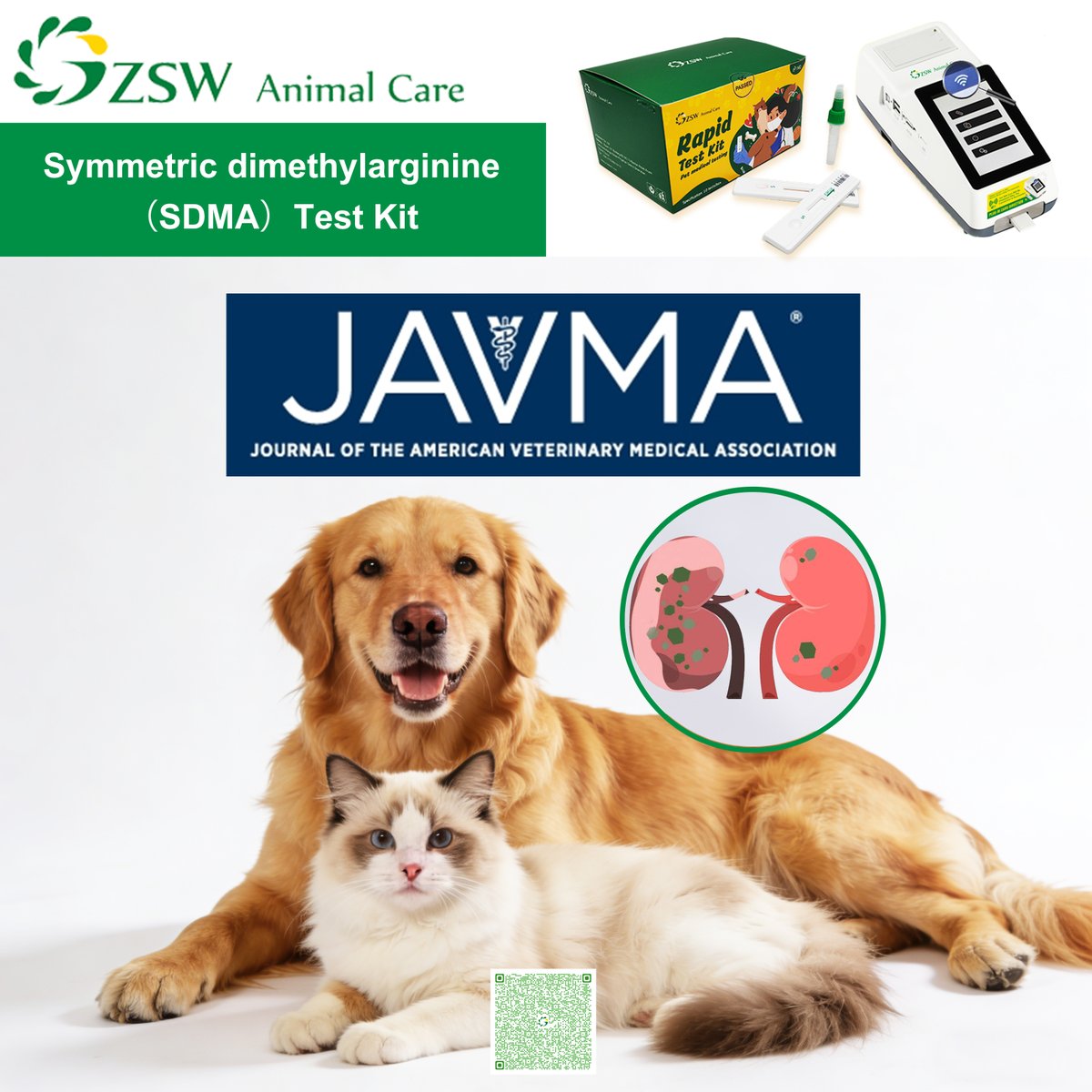 Early Diagnosis, Healthy Companionship

The latest research from National Kidney Month confirms: Early diagnosis of chronic kidney disease (CKD) is a crucial step in altering the disease trajectory.
#sdma #vet #petmedical #petdiagnosis