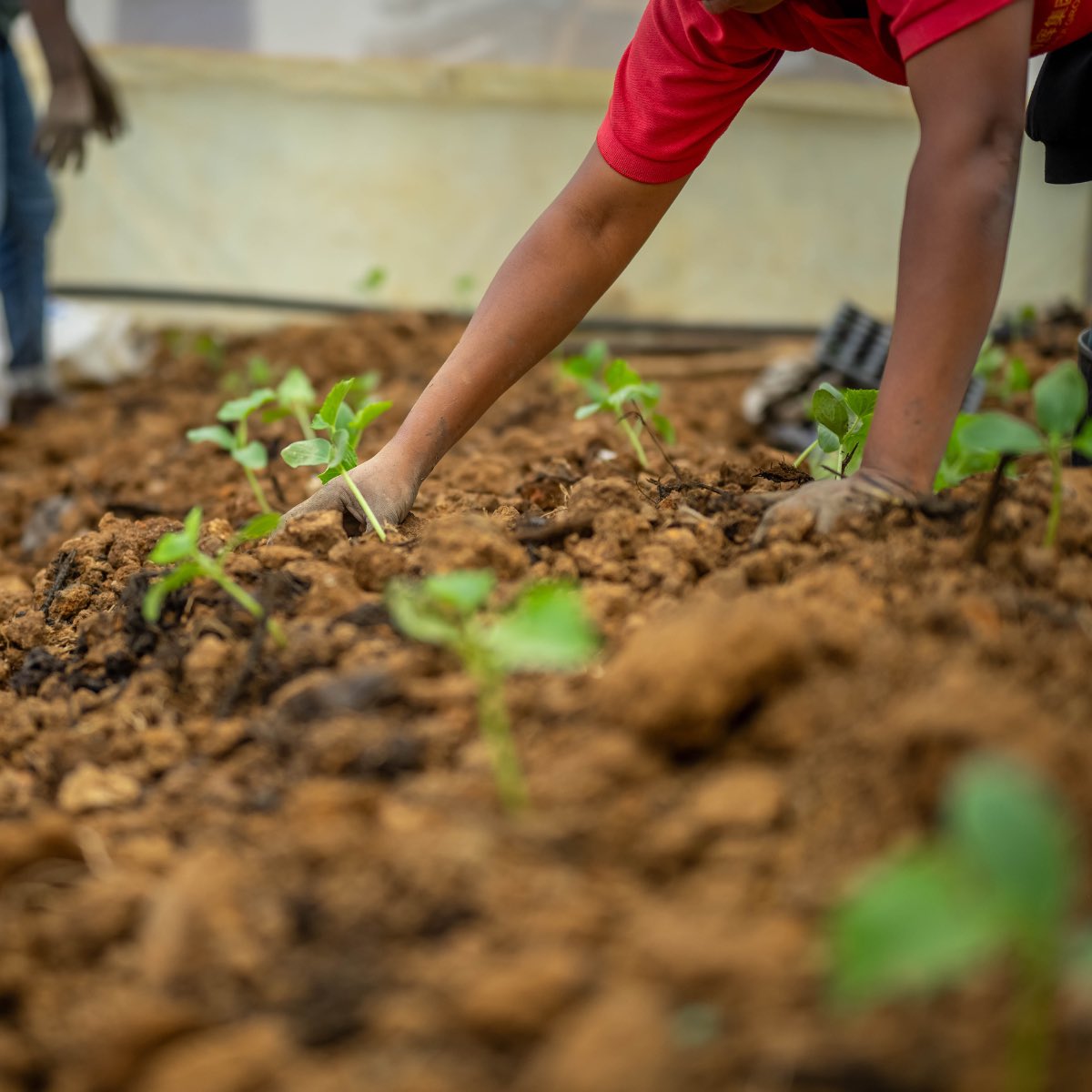 INKOMOKO tweet media