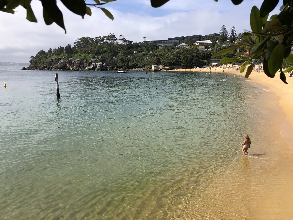 mark obrien tweet media