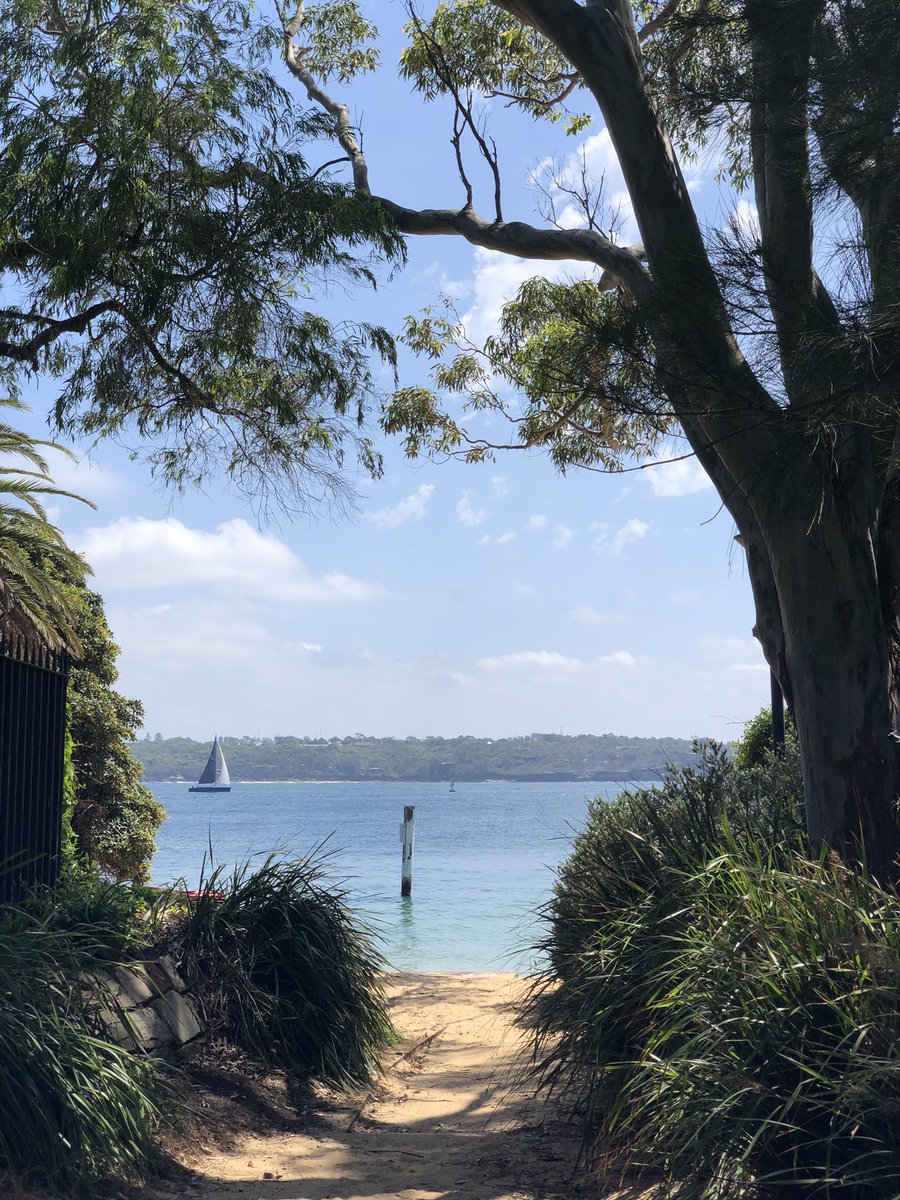 mark obrien tweet media