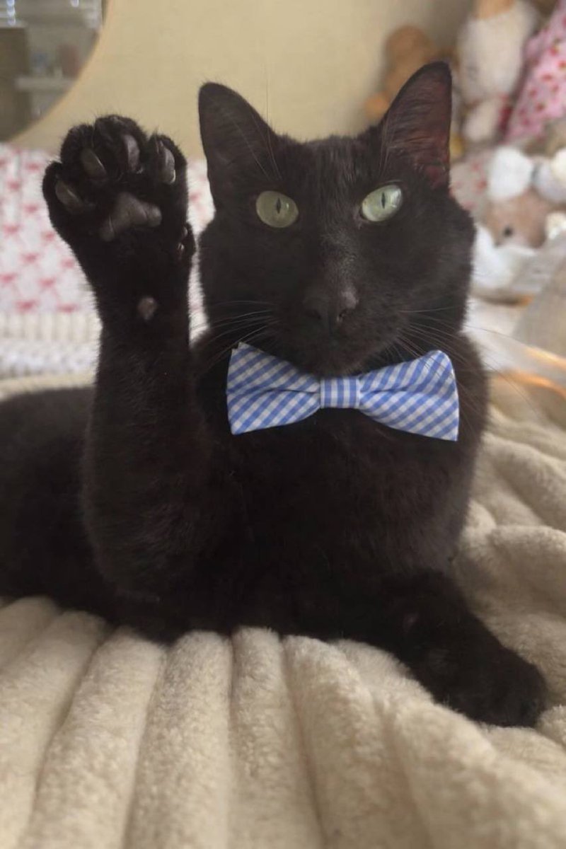 Good to Great tweet media