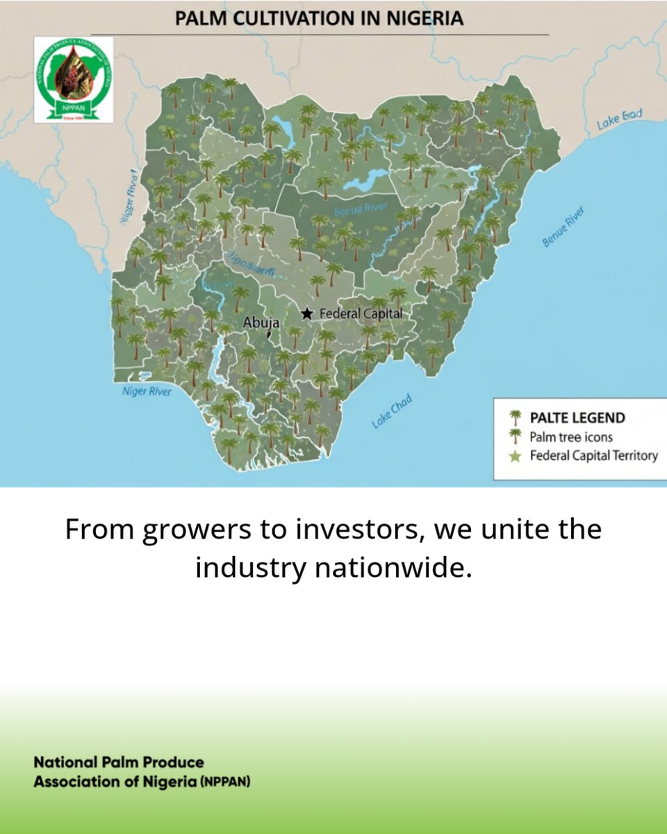 national_palm's tweet photo. NPPAN: Driving Nigeria's palm produce growth since 1995. Boosting farmers, connecting communities nationwide. 🇳🇬 #NPPAN #PalmProduce #Nigeria Comment your state https://t.co/CwYdHO0CE0