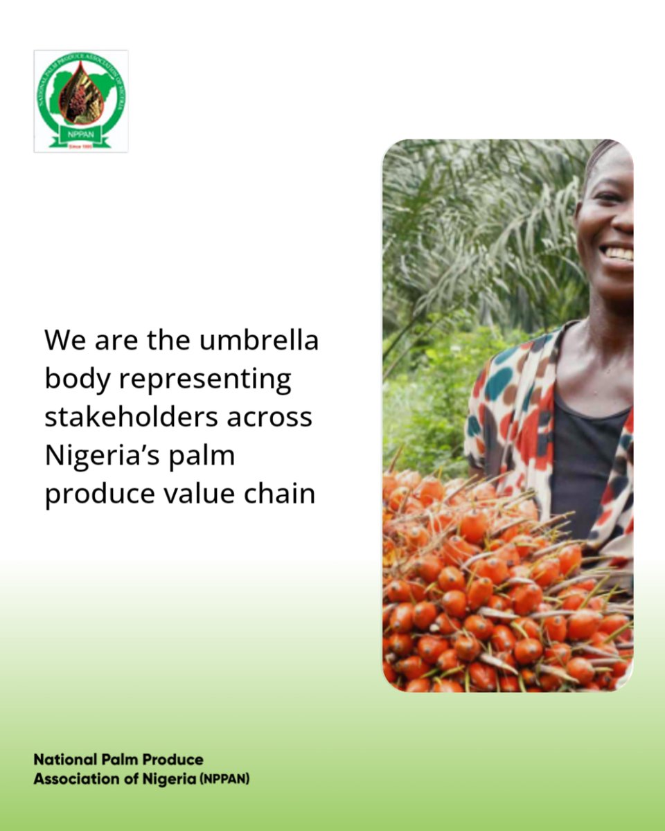 national_palm's tweet photo. NPPAN: Driving Nigeria's palm produce growth since 1995. Boosting farmers, connecting communities nationwide. 🇳🇬 #NPPAN #PalmProduce #Nigeria Comment your state https://t.co/CwYdHO0CE0