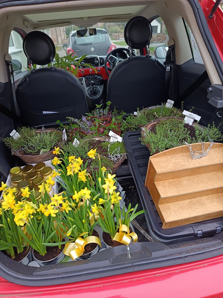 🌻 Justine Dixon 🌺 tweet media