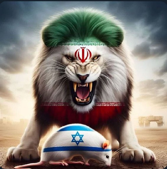 RealDeal010's tweet photo. @IRAN_HD24 I couldn't find more suitable Emoji https://t.co/7LMdyyQJsY