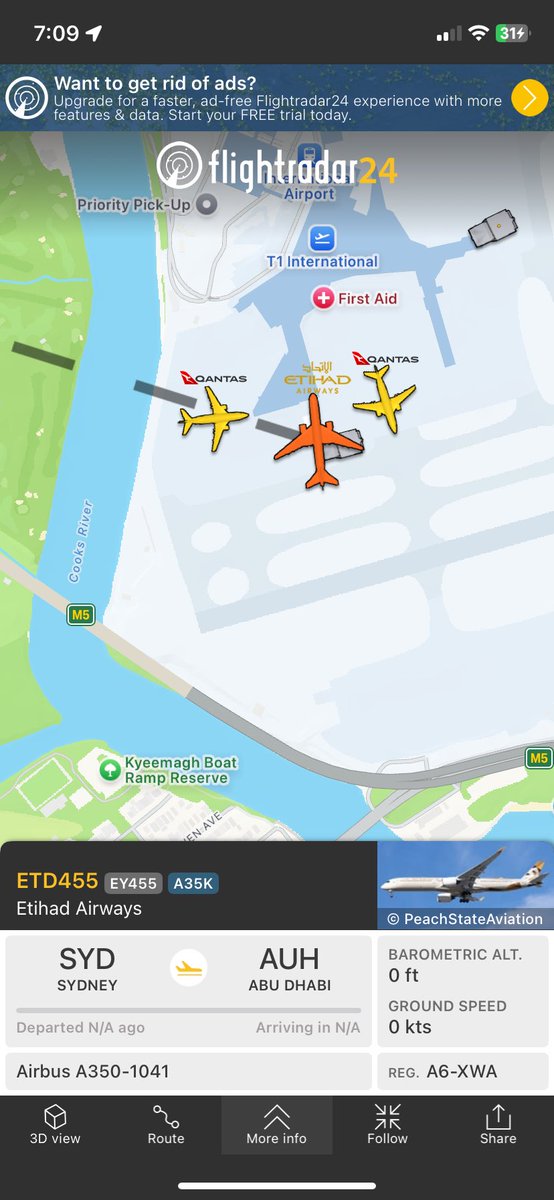 staceygavrily's tweet photo. @flightradar24 Etihad EY455 about to leave Sydney for Abu Dhabi, first since 27 Feb 
I’m booked for 26 March🤞 https://t.co/KgLL7j39l0