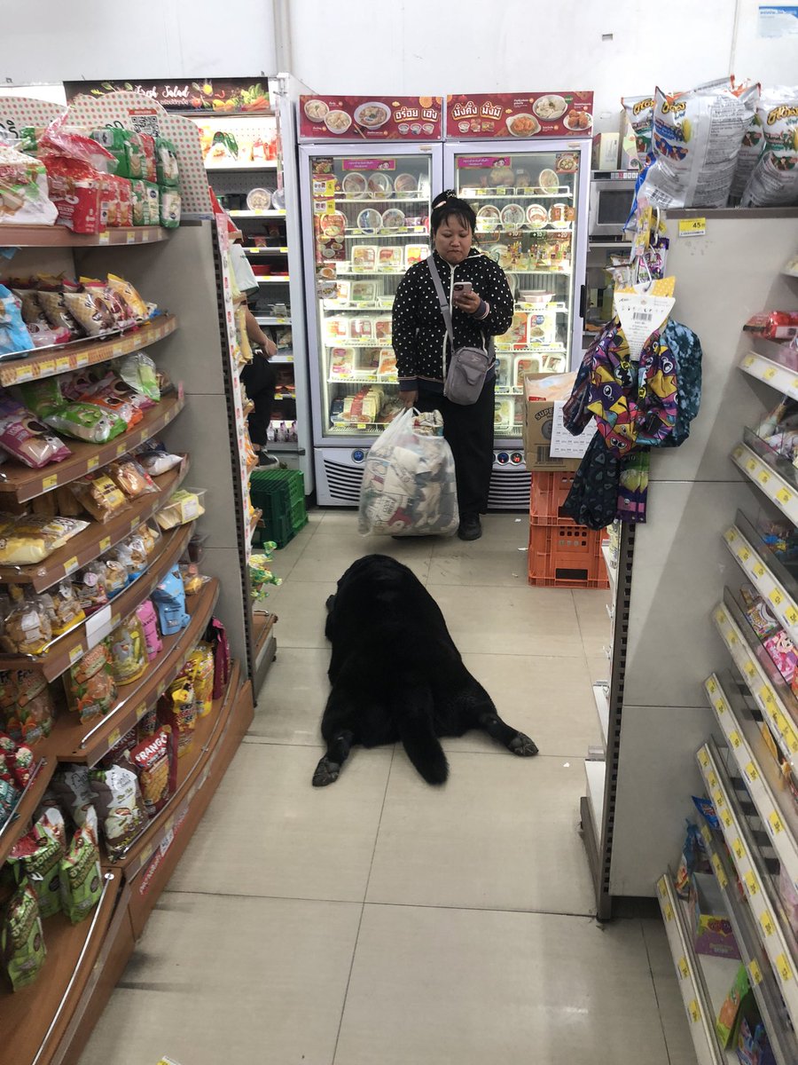 mankensensei's tweet photo. おはようございます
今朝のお寝覚めいかがでしょうか？
私はタイ北部を長旅中
シャンバラ祭が終わり
現在パーイに滞在中です

旅の記録をnoteに綴りました
旅にご興味ある方ぜひご笑覧ください
旅の裏ワザなどご紹介しています

今週末中山・阪神の狙い目ゾーンも
明記しました
ぜひご覧くださいませ

#パーイ #ヒッピー #ヒッピーカルチャー #チェンマイ #チェンライ #ブルバ100
#ひとり旅
