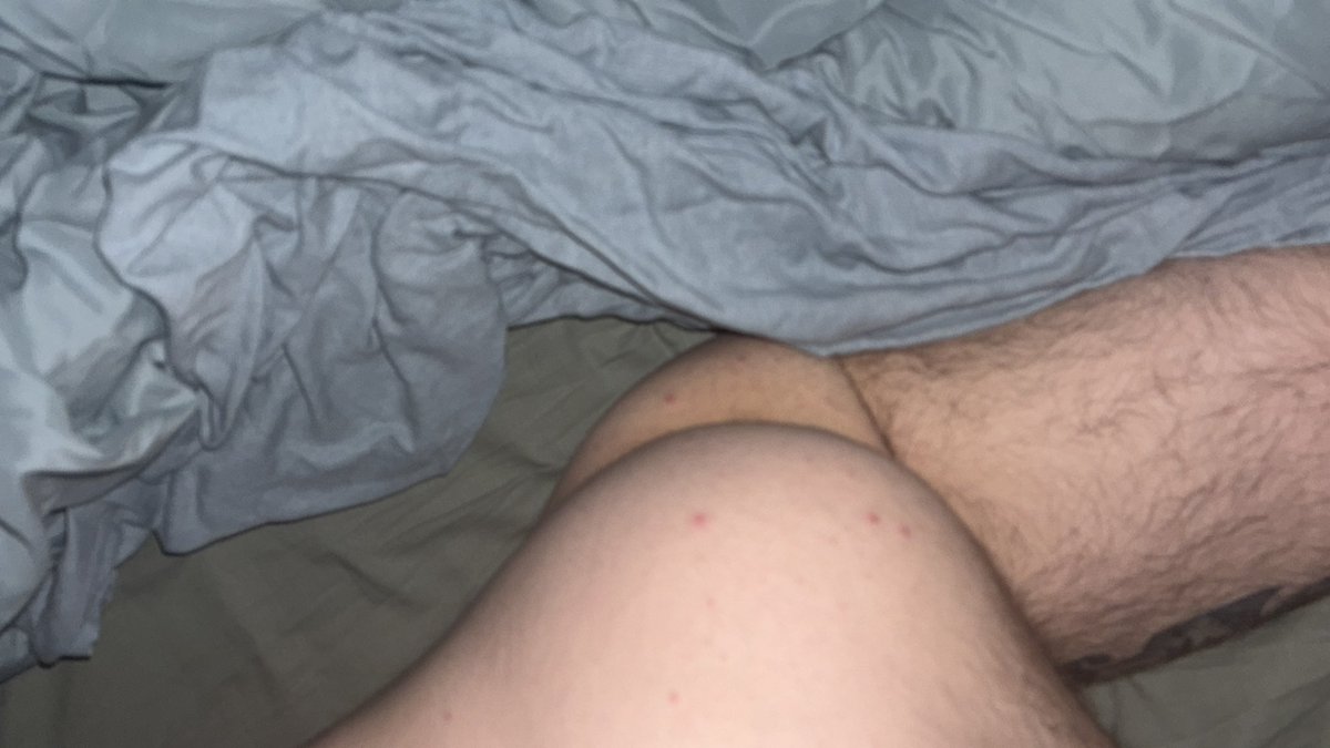 🍑🔞Petit soumis 🔞🍑 tweet media