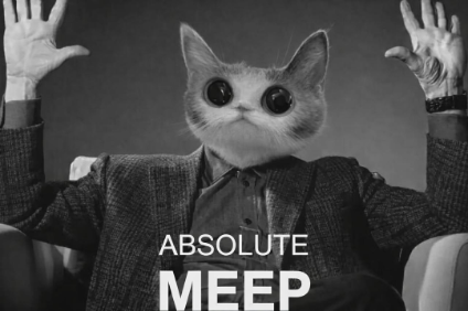 meepcat tweet media