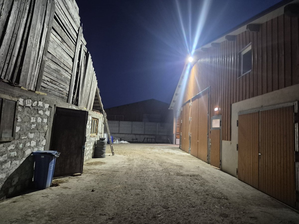 Jorge Lopez Menendez🇦🇷🇸🇱🇧🇴 tweet media