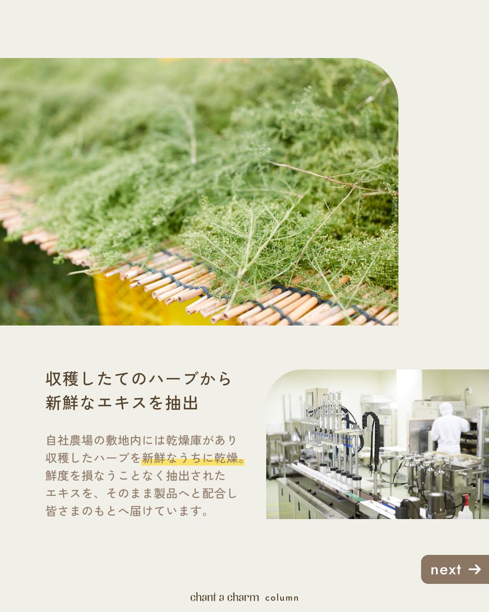 chant a charm(チャントアチャーム)公式 tweet media