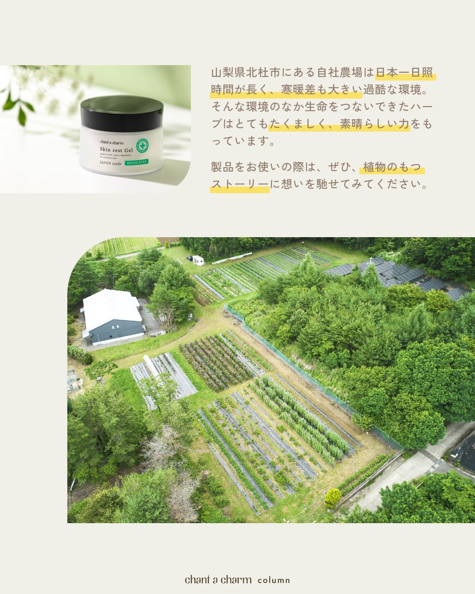 chant a charm(チャントアチャーム)公式 tweet media