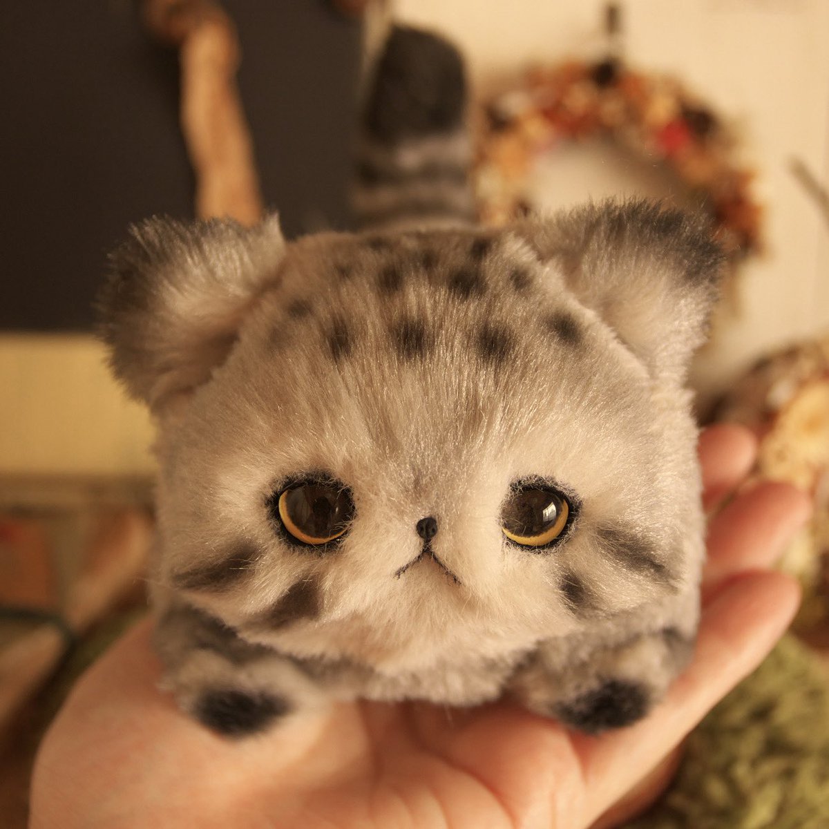 しらたま (@shiratama_kuma) / Posts / X