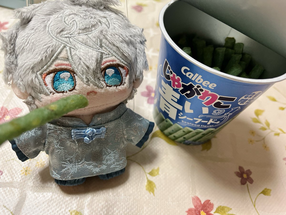 ココ@ぬいと生活 tweet media