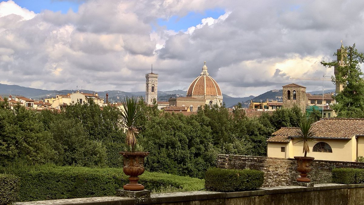 Peter Webster tweet media