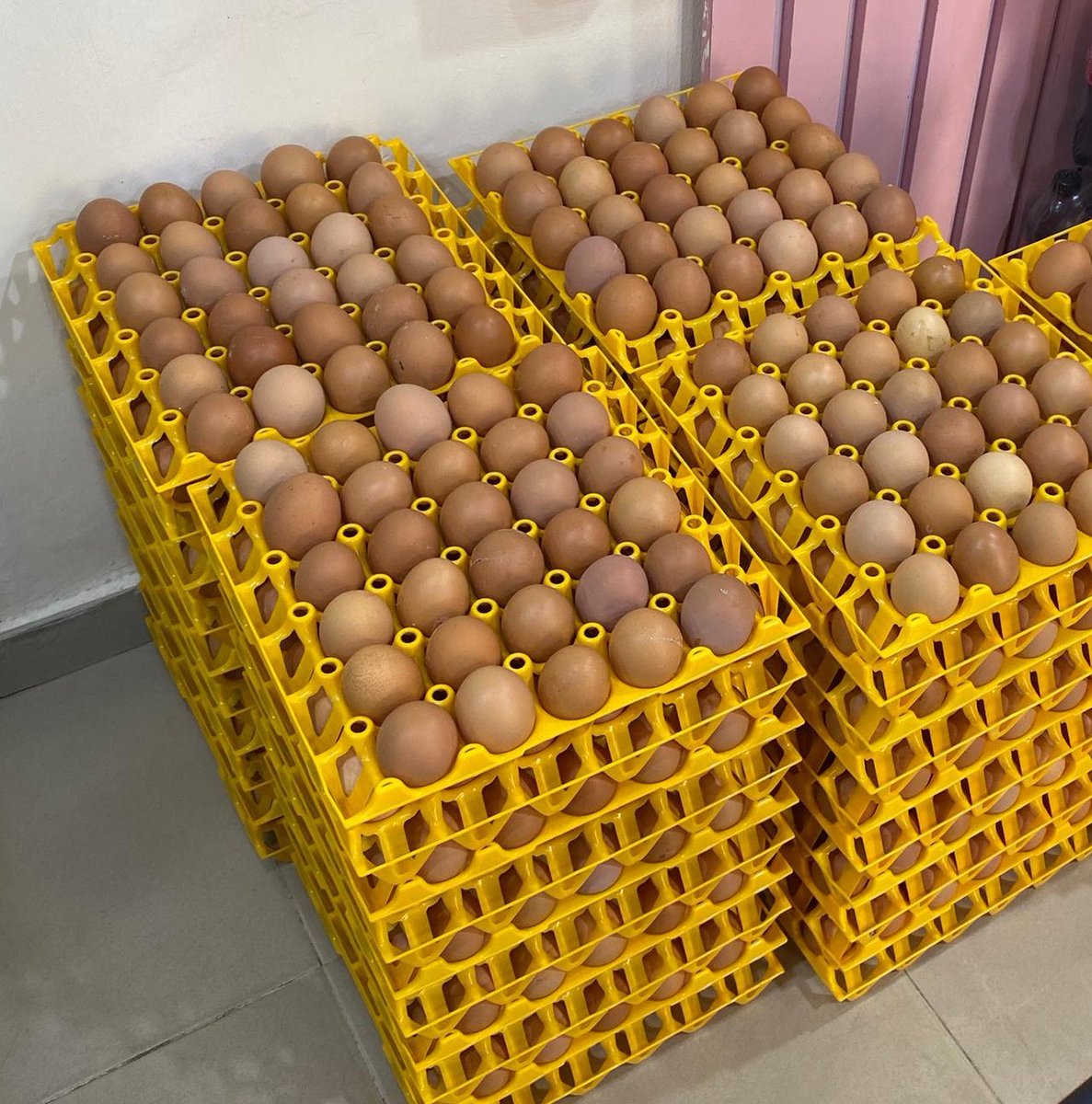 POOJA!!! tweet media