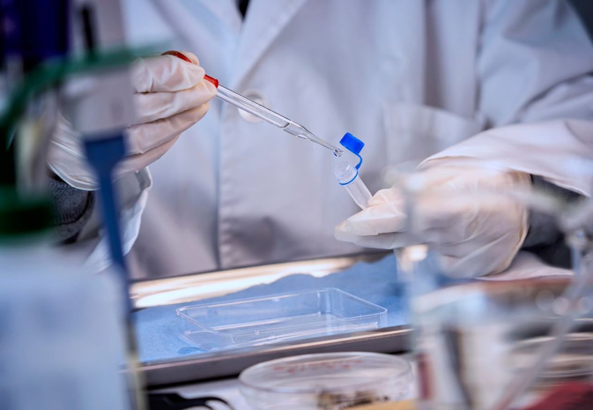 Forensic Access Training tweet media