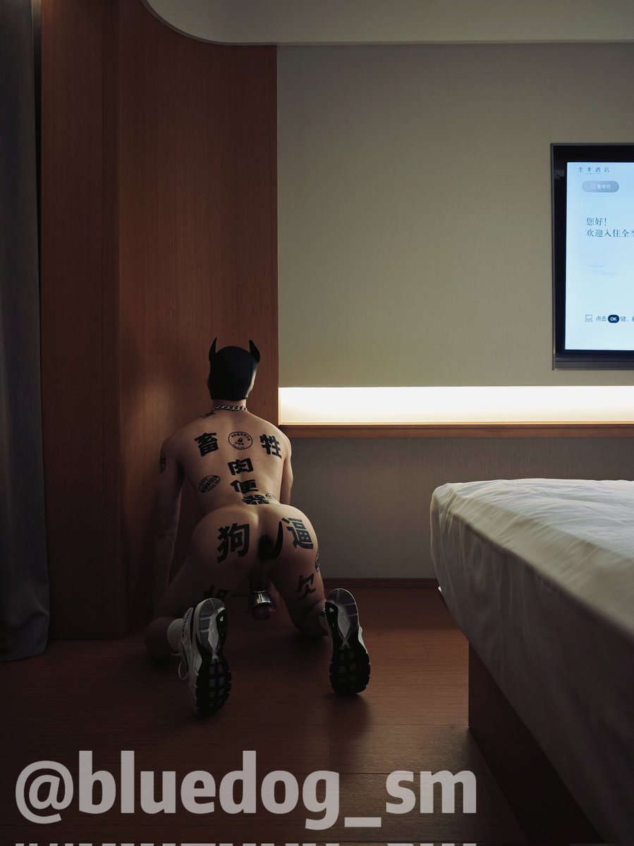 金毛犬 tweet media