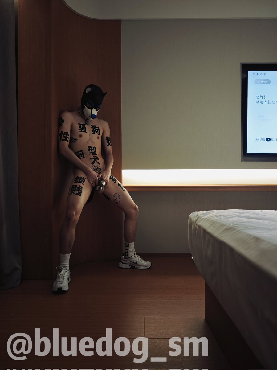 金毛犬 tweet media