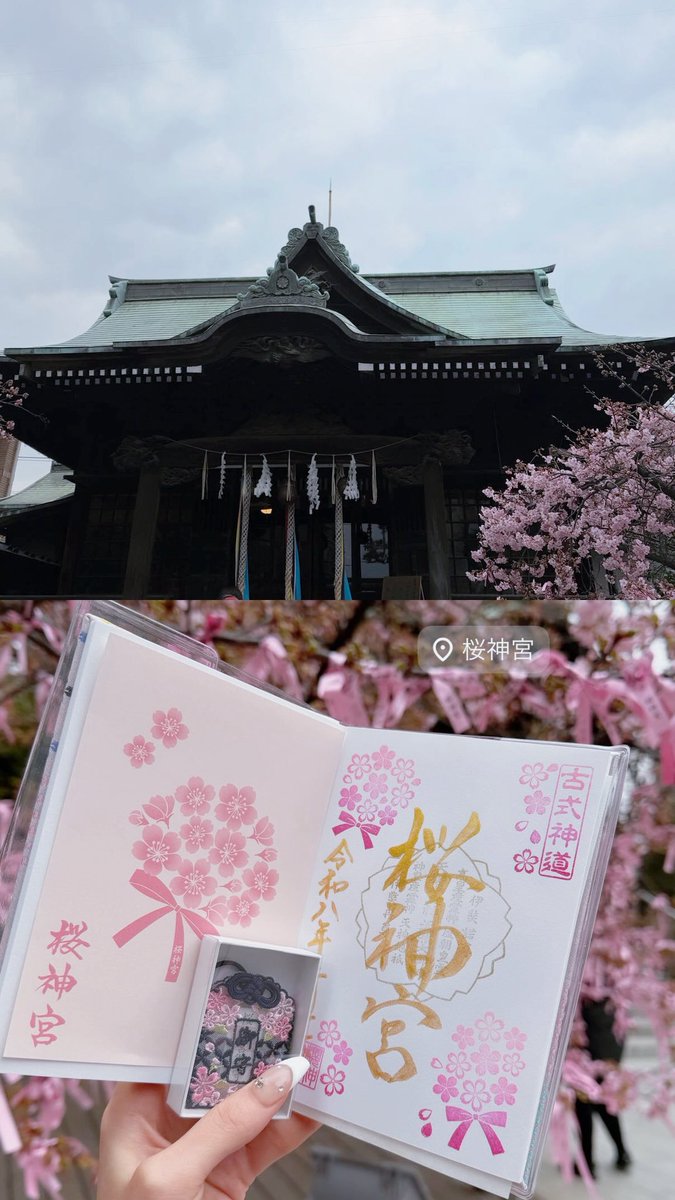 prettynyanko__'s tweet photo. 📍桜神宮  🌸𓂃⟡.· https://t.co/6ZKQ46VUzQ