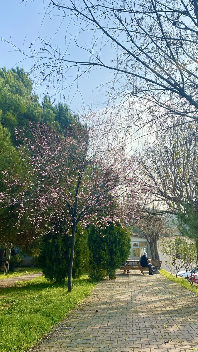 justnursipan's tweet photo. Allah’ım, gönlümün daraldığı,yetiş dediğim her ana şahitsin.Bu mübarek saatlerde kalbimdeki o gizli yaraya şifa, beklediğim o müjdeli habere ol emrini nasip eyle.Üzerimdeki yorgunluğu al, yerini sonsuz bir inşiraha bırak. Görünmez ellerle işlerimi kolaylaştır,beni darda bırakma✨ https://t.co/R9rmGg1EYd