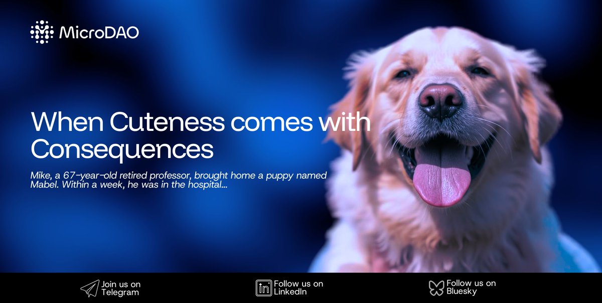 MicroDAO tweet media