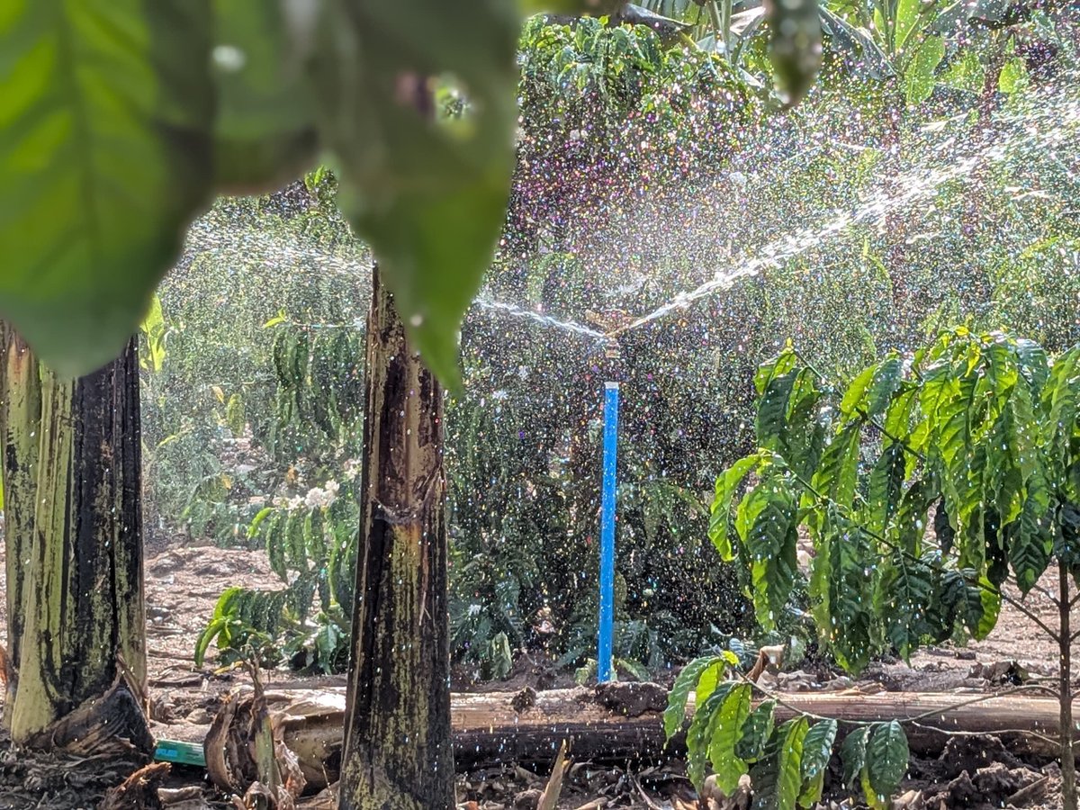 Akvo International Limited tweet media