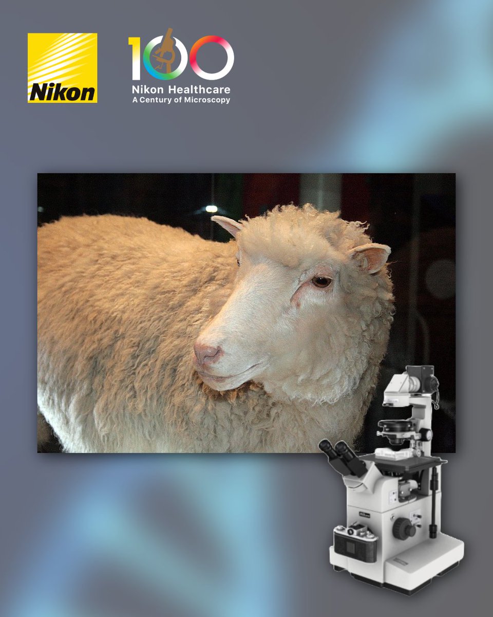 Nikon Microscope Solutions tweet media