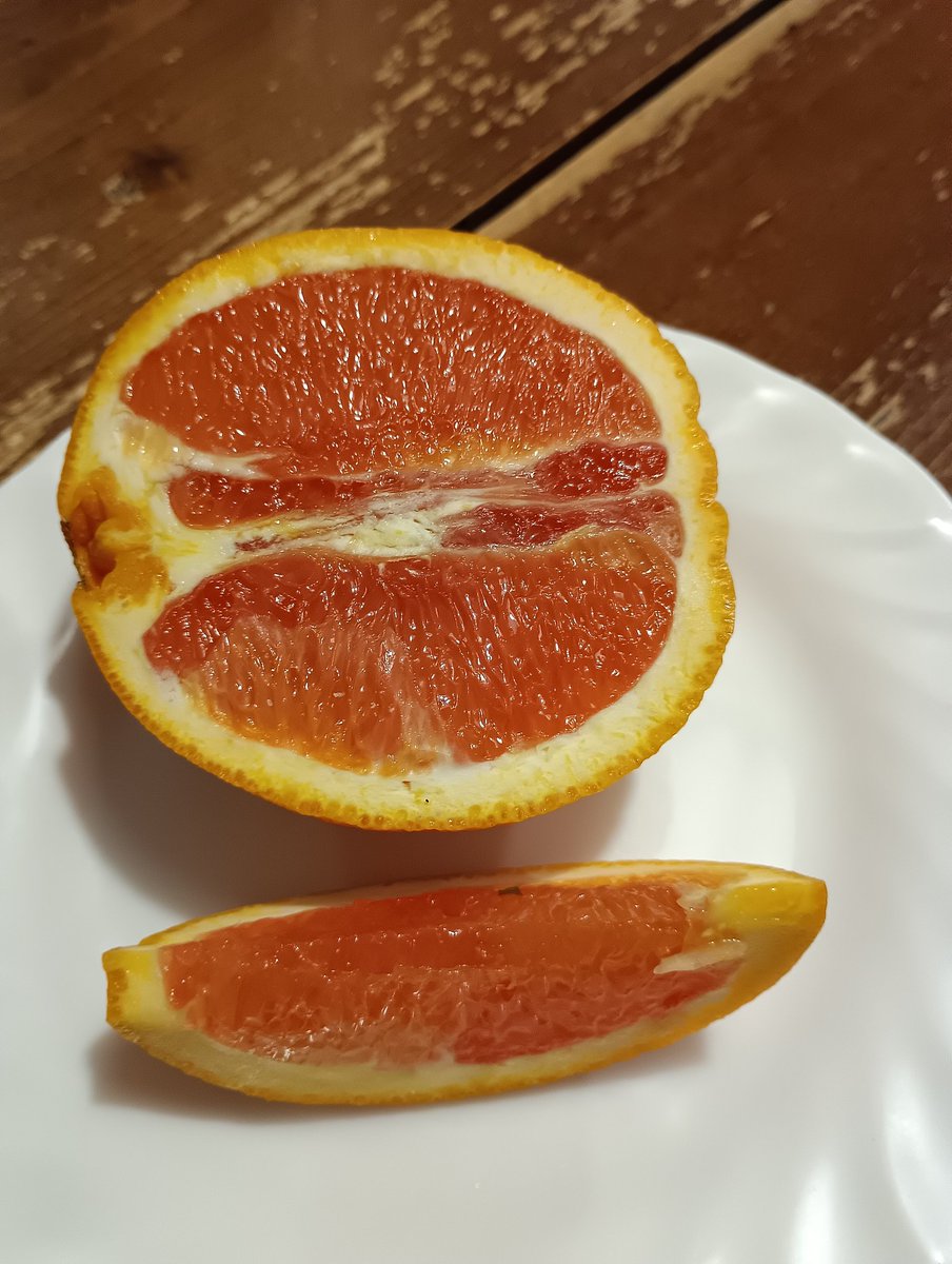 diningmido's tweet photo. 洋食屋ダイニングみどりかわです。
いつも皆様ご利用ありがとうございます。火曜まで通常営業します。皆様お待ちしております。
写真は一般的な物よりピンクがかった色のカラカラオレンジです。 https://t.co/nbrIrbXDP2