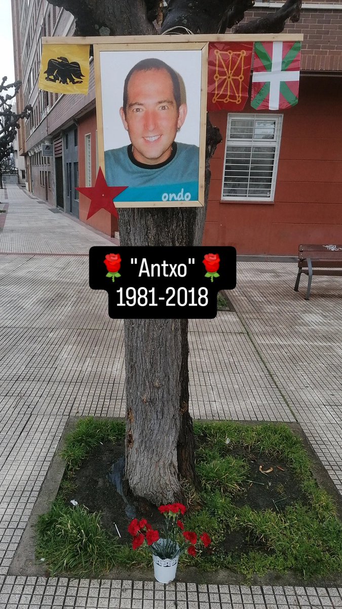 IbaiRip's tweet photo. ✊🌹"Antxo" 🌹✊
 VIII. Urteurrena

Gu sortu giñen enbor beretik
sortuko dira besteak,
burruka hortan iraungo duten
zuhaitz ardaska gazteak.
Beren aukeren jabe eraikiz
ta erortzean berriro jaikiz
ibiltzen joanen direnak. 
Gertakizunen indar ta argiz
gure ametsa arrazoi garbiz. https://t.co/GjRiJcJws4