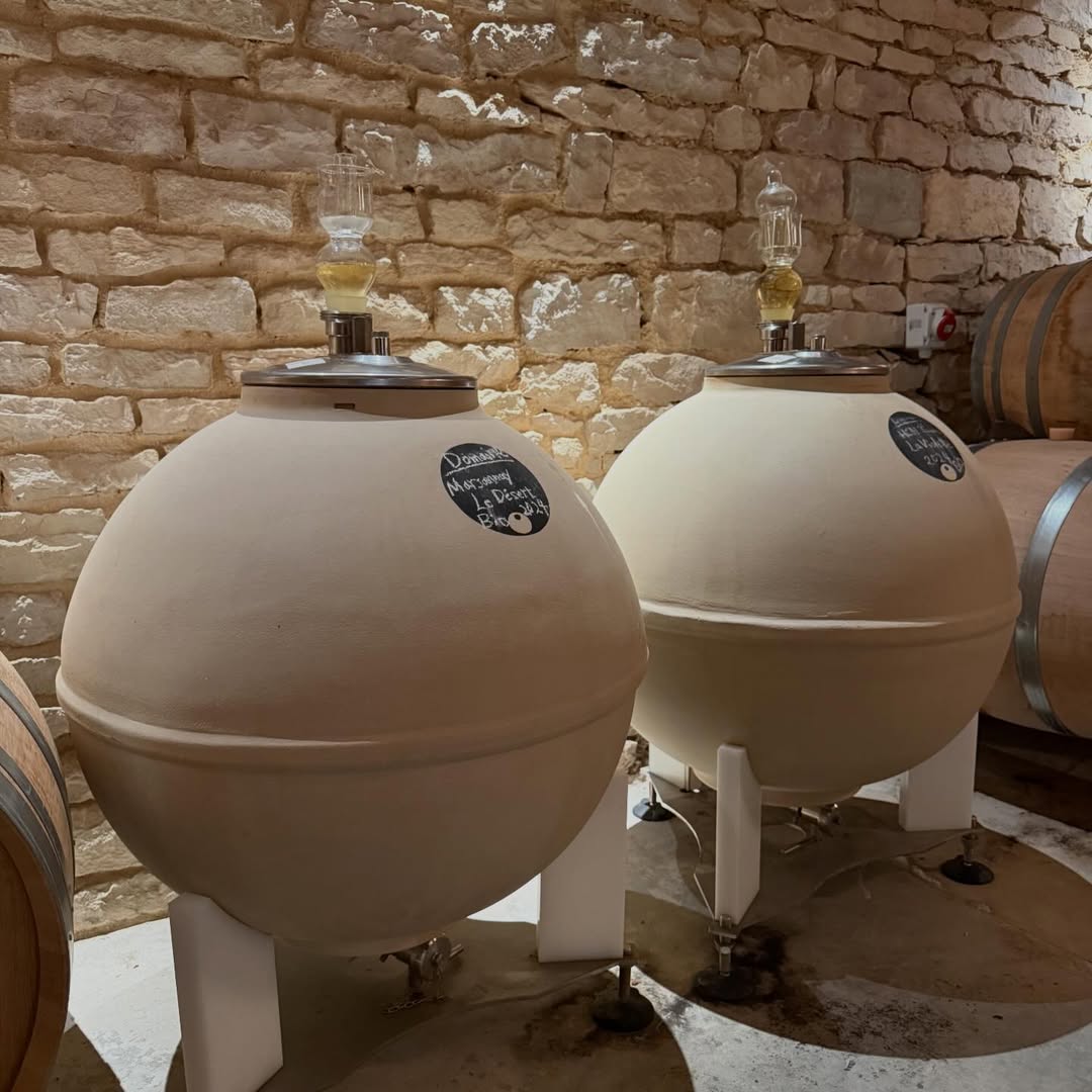 Jeannie Cho Lee MW tweet media