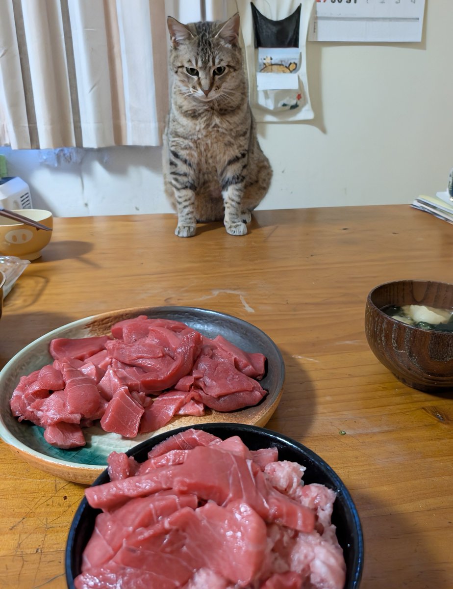 アヴェマナヴ tweet media