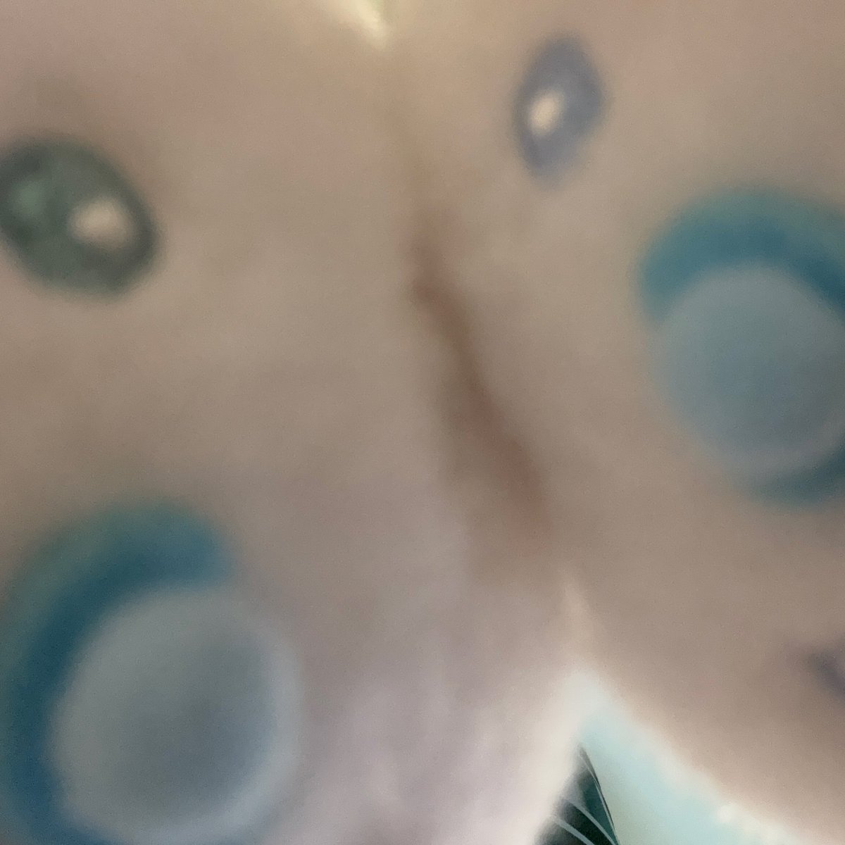 x___tr_'s tweet photo. ちいさいいのちをげっと🐬🐈‍⬛ https://t.co/Hvv7EYHHa5