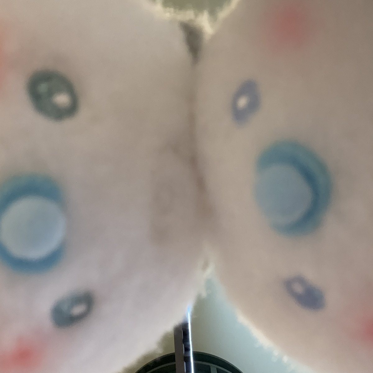 x___tr_'s tweet photo. ちいさいいのちをげっと🐬🐈‍⬛ https://t.co/Hvv7EYHHa5