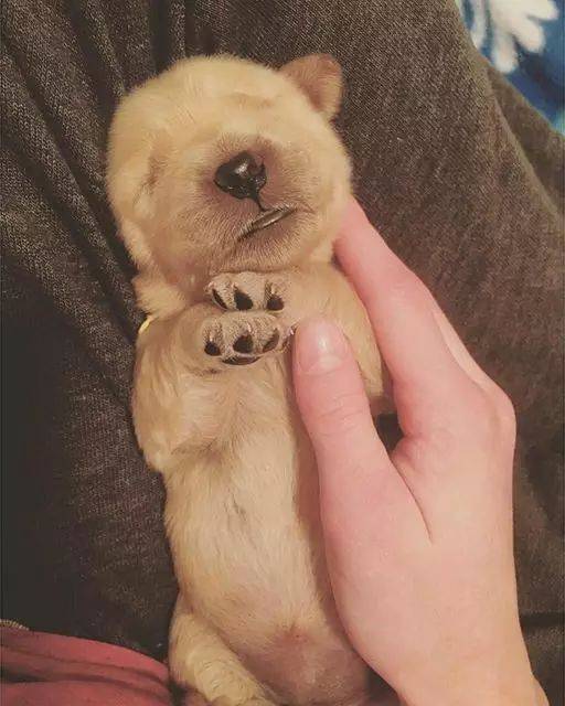 Aderly Eder Carita C tweet media