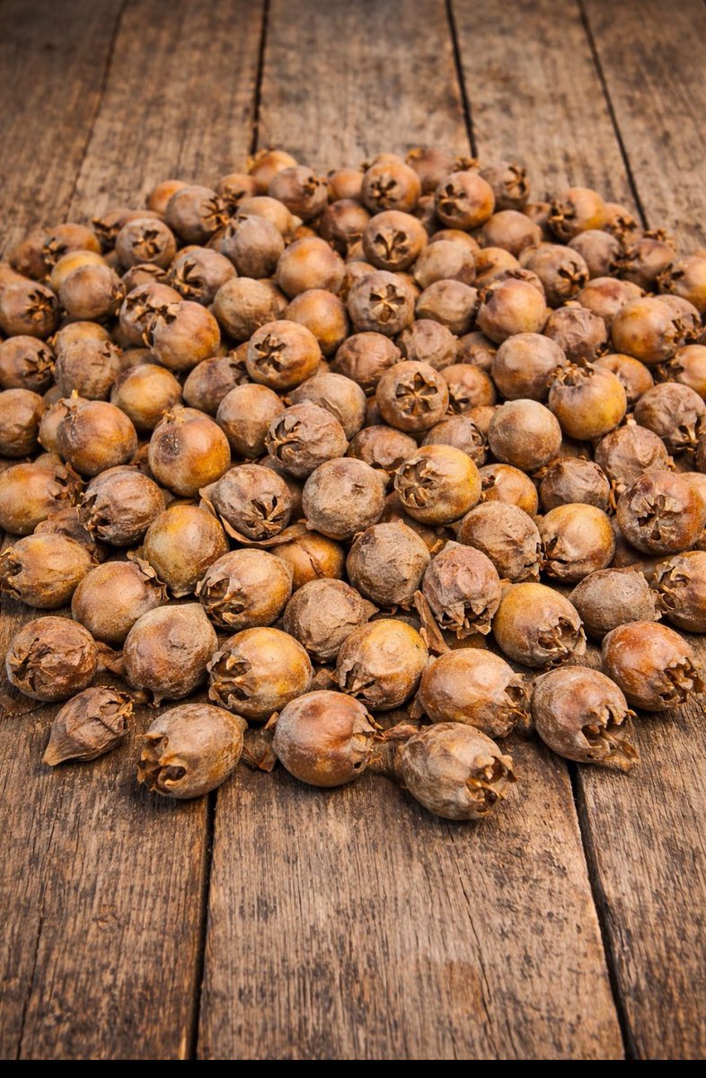 Tuğçe yıldız tweet media