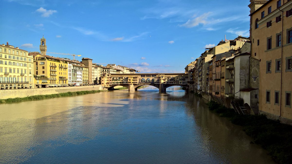 Peter Webster tweet media