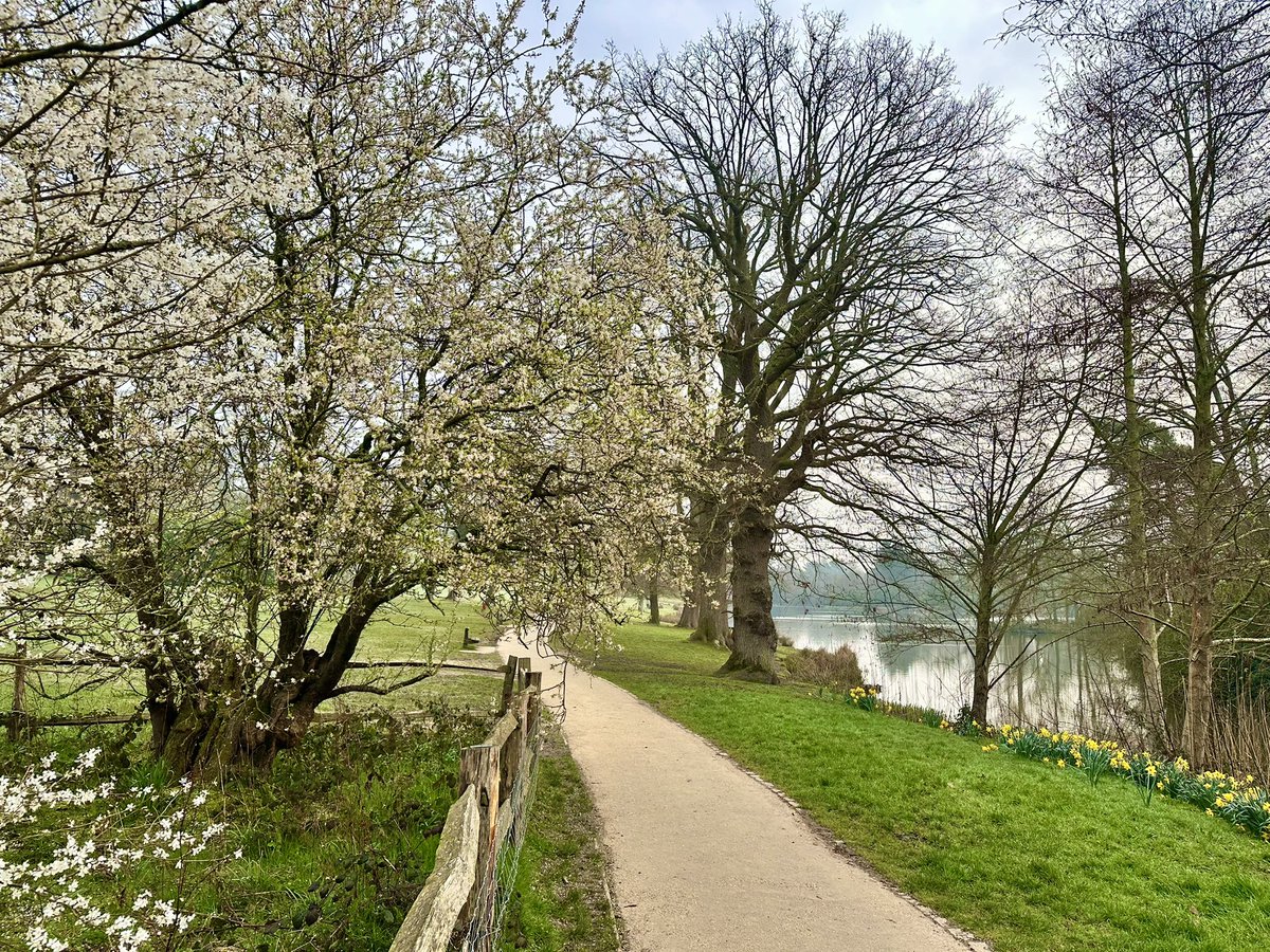 Mick Fitzgerald tweet media