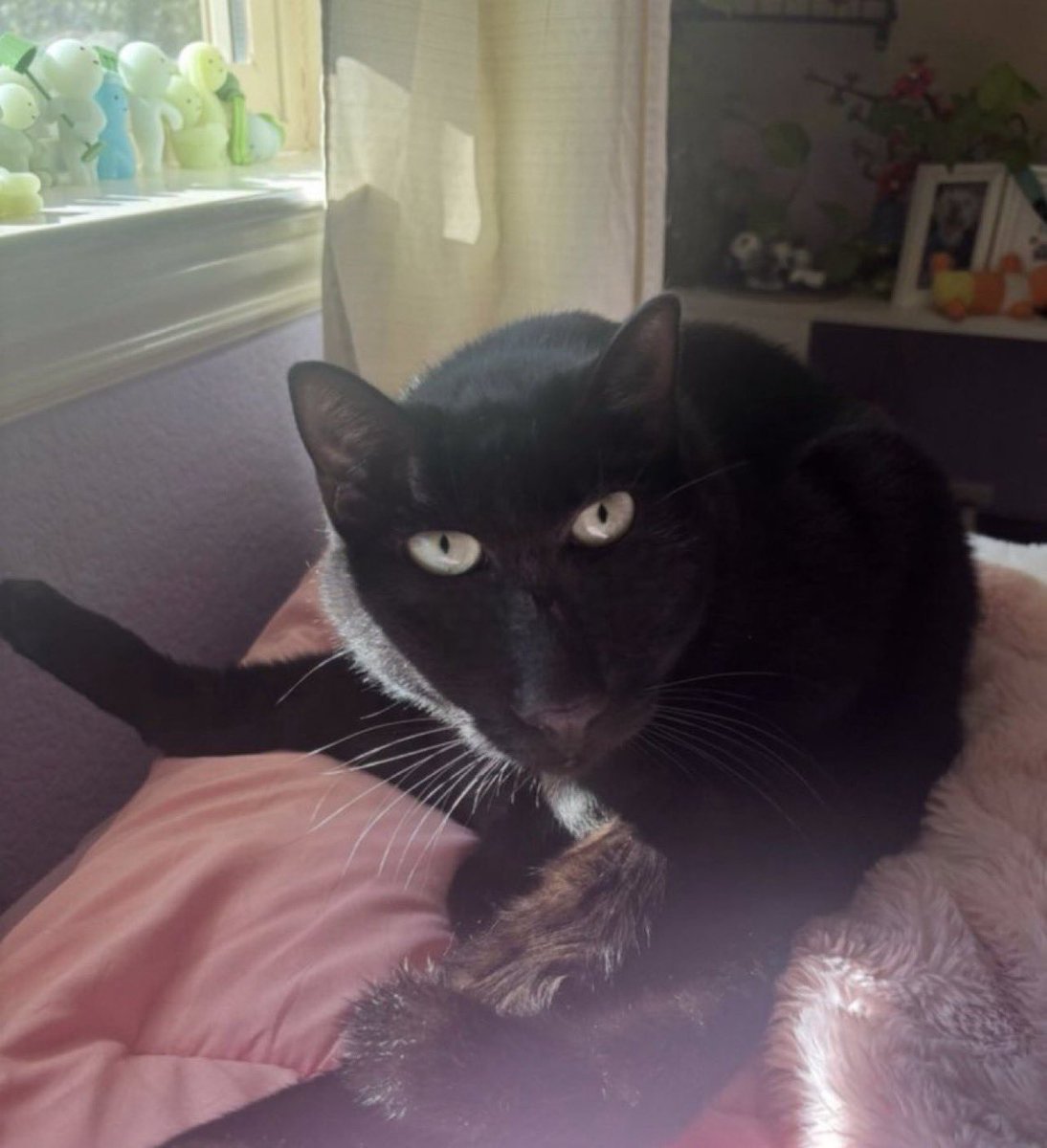 Good to Great tweet media