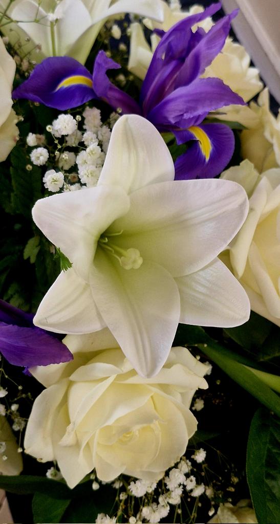 JaanaMaria tweet media