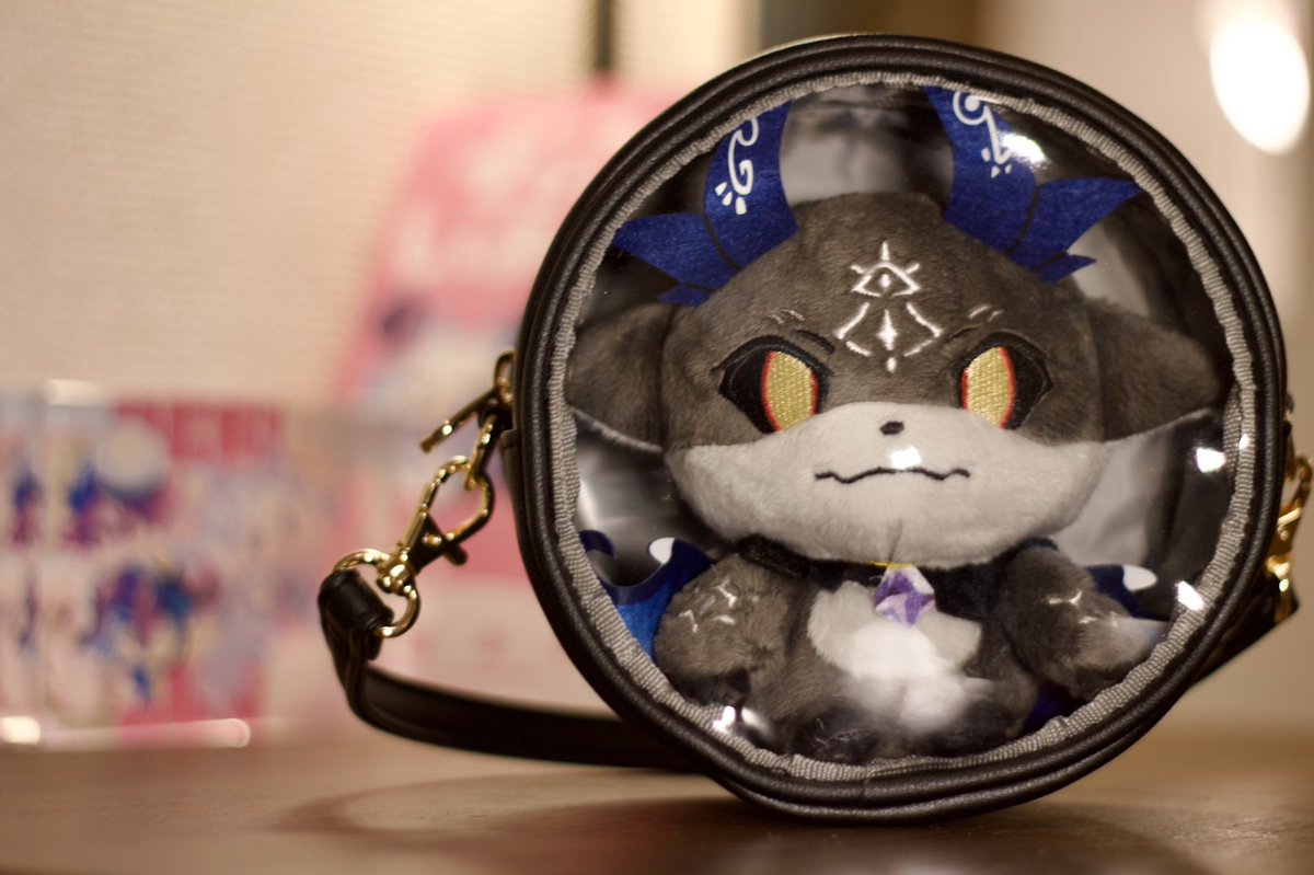 にじぬいでびさまのお耳や角を圧迫しないポーチを模索してて、円形の連れ歩きポーチに落ち着きそう💯
#でびぬい撮り