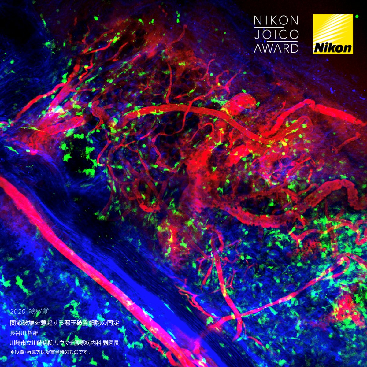ニコンソリューションズ/バイオサイエンス tweet media