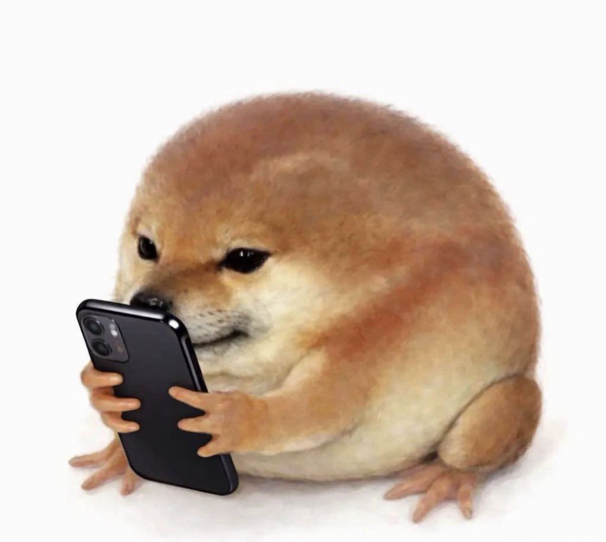 royal oak tweet media