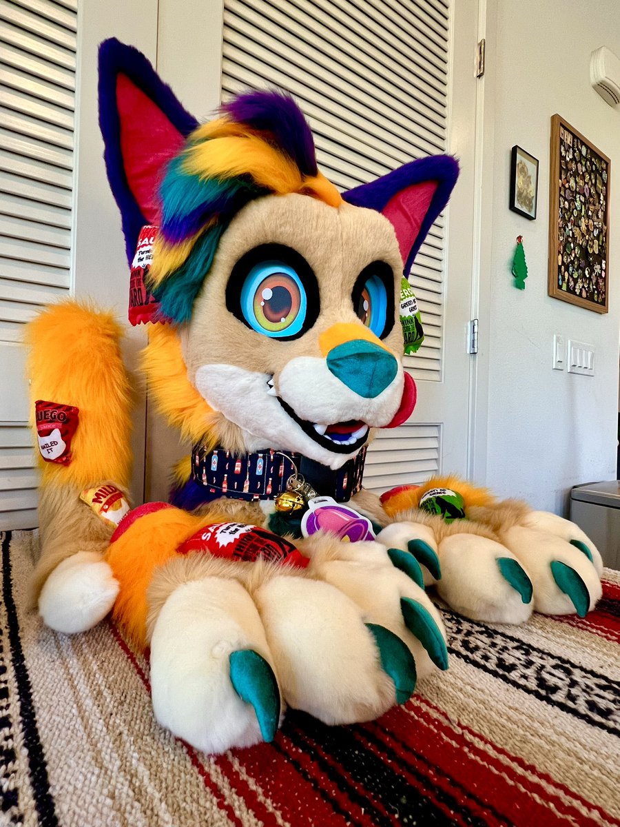 🌴✨Scout Pawfoot 🔜 GSFC, LVFC, FURLANDIA✨🌴 tweet media