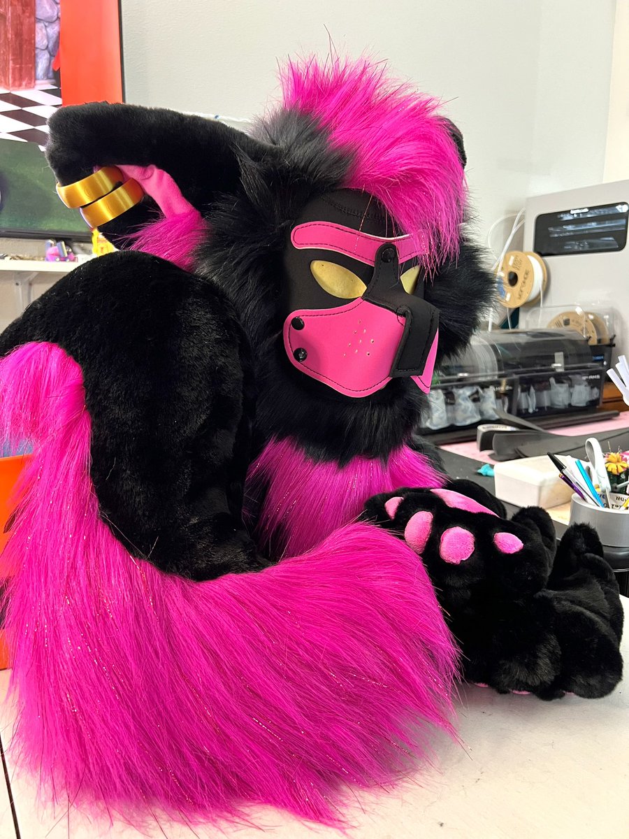 🌴✨Scout Pawfoot 🔜 GSFC, LVFC, FURLANDIA✨🌴 tweet media