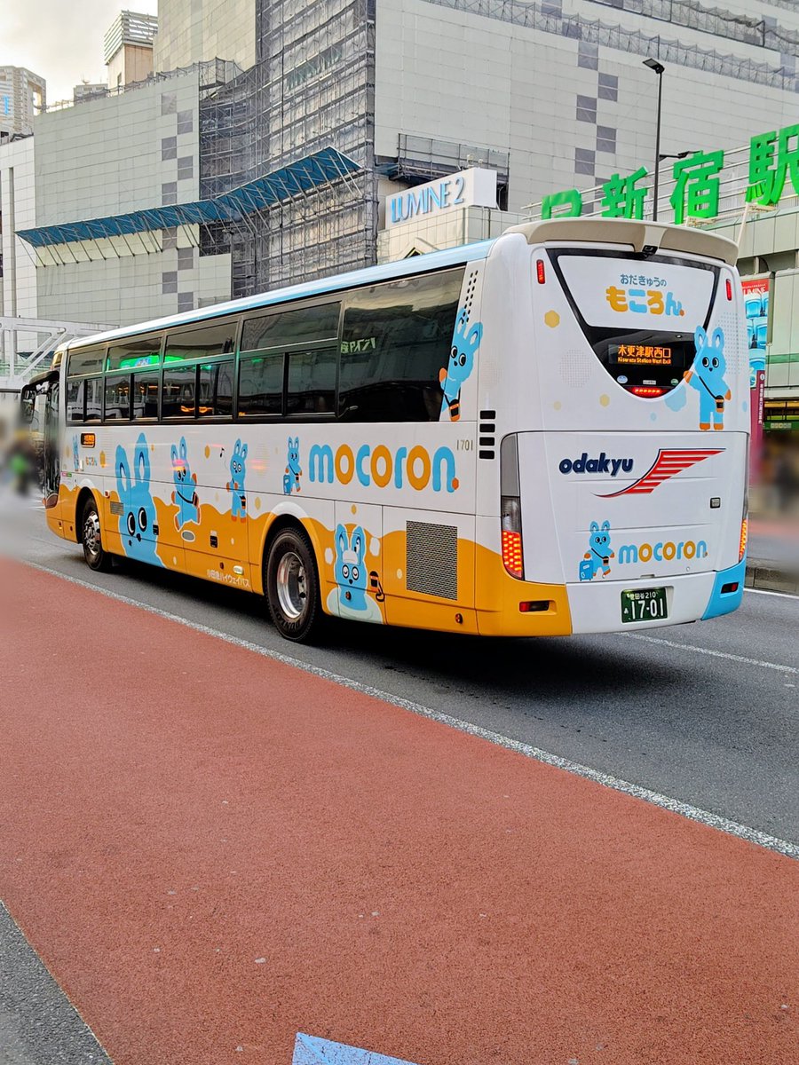 ようちゃん tweet media