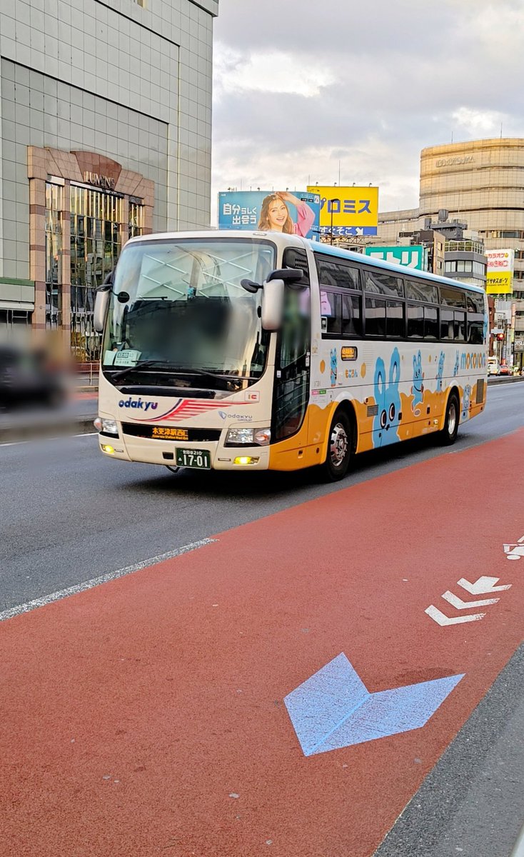 ようちゃん tweet media